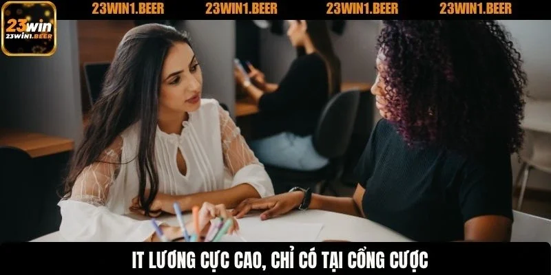 IT lương cực cao, chỉ có tại cổng cược
